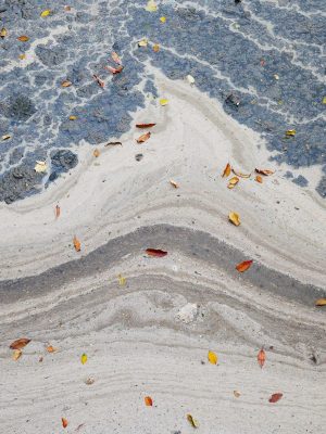 sTo Len_catch-the-wave_24x36