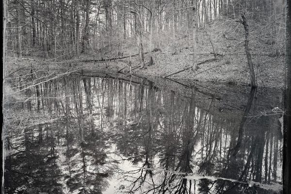 Pond of Contemplation